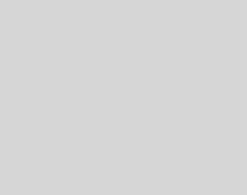 gray Bg